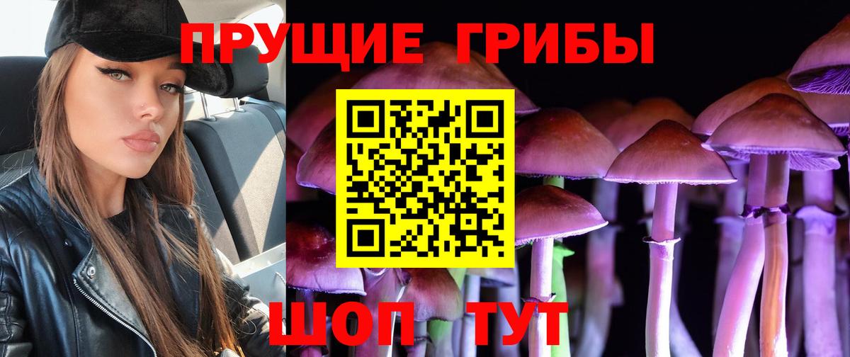 Нижний Новгород  Псилоцибиновые грибы мицелий  Вход с VPN 